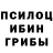 Галлюциногенные грибы Magic Shrooms Stone Harper
