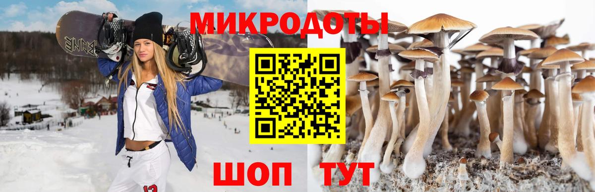 Галлюциногенные грибы Psilocybe Благодарный